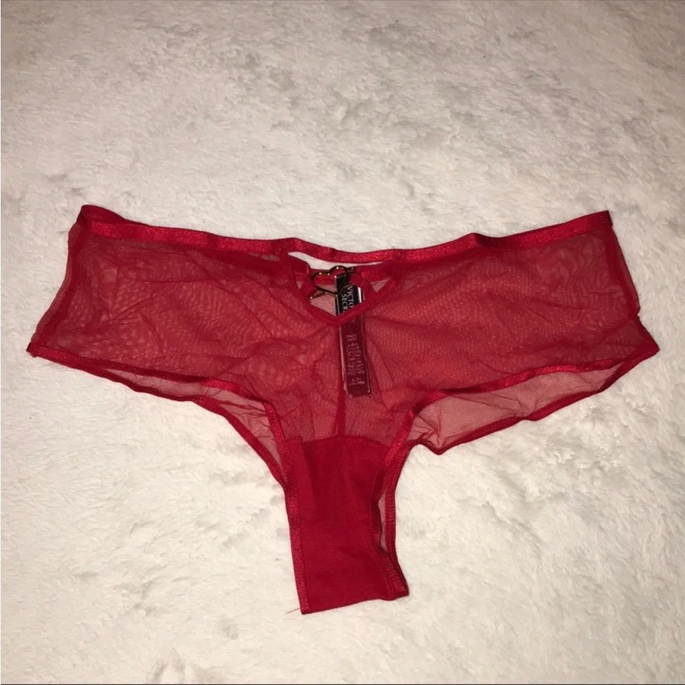 Victoria’s Secret Mesh Panty